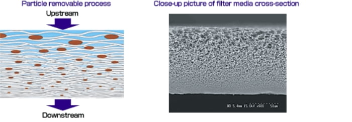 Particle removale process